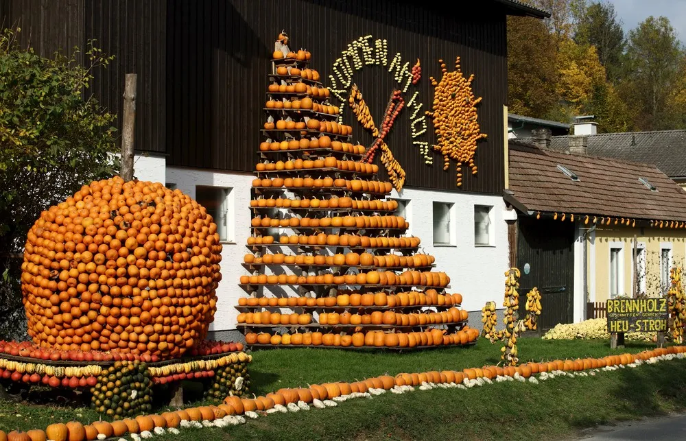 Pumpkins Season