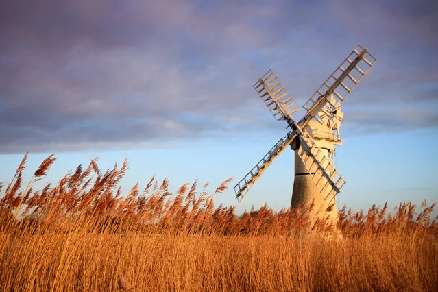 Thurne windpump, Norfolk, UK, 2016. If you want to explore the Norfolk Broads then try Thurne, a small village next to the river Thurne and home to Thurne Dyke Mill, a windmill used for drainage. There are many local paths offering good walks; the long-distance Weavers’ Way passes through the village. (Photo by Justin Minns)