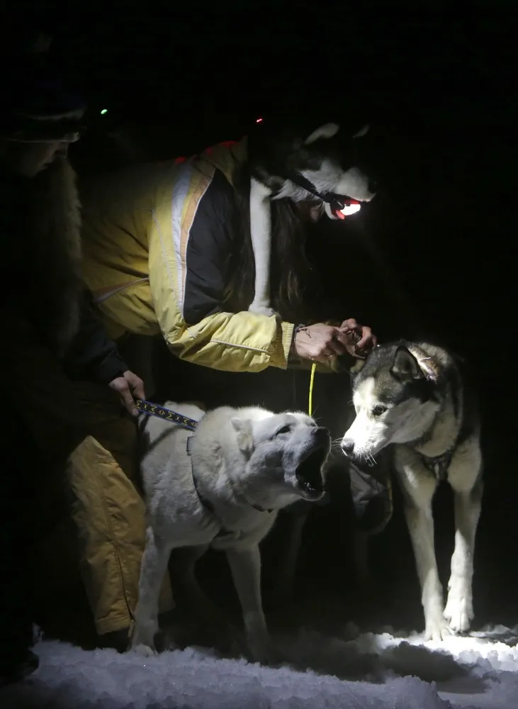 The Sedivackuv Long Dog Sled Race in Czech Republic