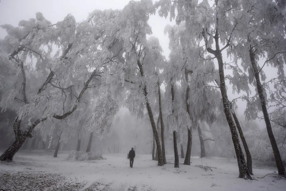 People in the Landscape