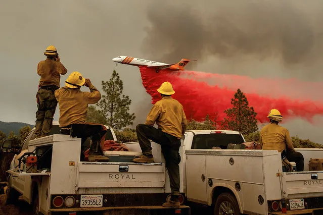 Firefighters watch as an air tanker drops retardant while battling the Ferguson fire in the Stanislaus National Forest, near Yosemite National Park, California on July 21, 2018. A fire that claimed the life of one firefighter and injured two others near California's Yosemite national park has almost doubled in size in three days, authorities said Friday. The US Department of Agriculture (USDA) said the so-called Ferguson fire had spread to an area of 22,892 acres (92.6 square kilometers), and is so far only 7 percent contained. (Photo by Noah Berger/AFP Photo)