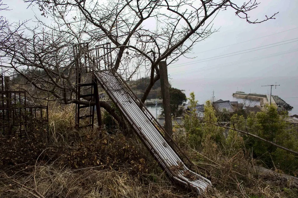 An army of cats, Aoshima Island (Japan)