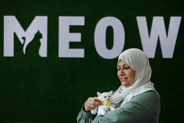 Owner Nehma Maabad holds a feline at her newly inaugurated Cat Cafe in Gaza City on August 17, 2023. (Photo by Mohammed Abed/AFP Photo)