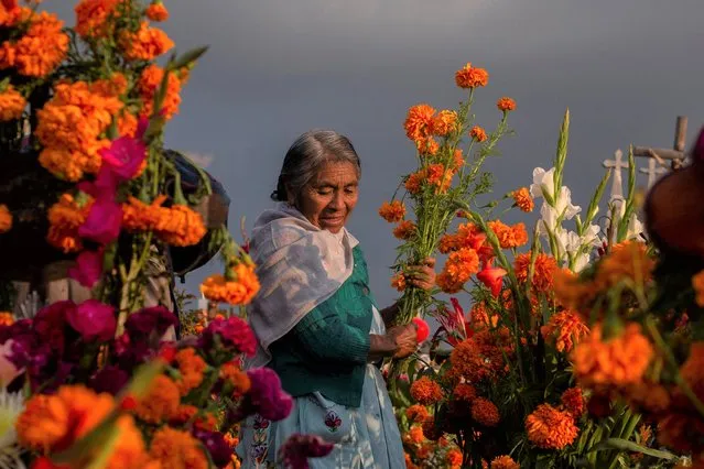 An indigenous woman decorates the grave of her loved one with Cempasuchil Marigolds at a cemetery during the annual Day of the Dead celebration, in San Miguel Canoa, in Puebla state on November 1, 2022. (Photo by Quetzalli Nicte-Ha/Reuters)