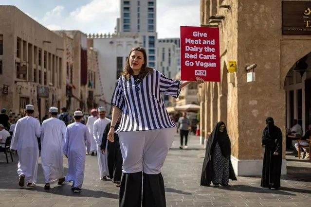 An animal rights activist for People for the Ethical Treatment of Animals (PETA) wears a referee costume on stilts and holds a placard reading “Give meat and dairy the red card: Go vegan” at the Souq Waqif market during FIFA World Cup 2022 in Doha, Qatar, 12 December 2022. (Photo by Martin Divísek/EPA/EFE/Rex Features/Shutterstock)