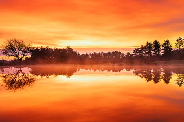 A misty sunset captured by the photographer Hang Ross at Bratley View Pond in the New Forest, Hampshire, UK in the last decade of January 2024. (Photo by Hang Ross/Bournemouth News)