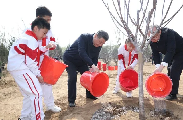 Chinese President Xi Jinping, also general secretary of the Communist Party of China Central Committee and chairman of the Central Military Commission, waters a tree during a voluntary tree planting activity in a forest park in Tongzhou District in Beijing, capital of China, April 3, 2024. Xi and other leaders, including Li Qiang, Zhao Leji, Wang Huning, Cai Qi, Ding Xuexiang, Li Xi, and Han Zheng, arrived at the site in the morning and planted trees with local people. (Photo by Ju Peng/Xinhua/Alamy Live News)