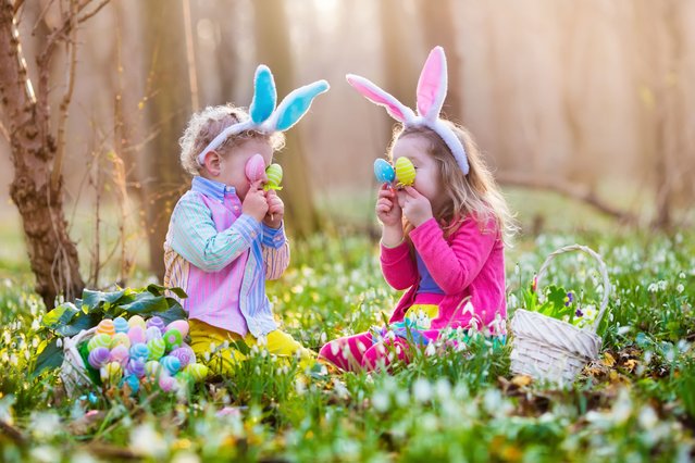 Kids on Easter egg hunt in blooming spring garden. (Photo by FamVeld/Getty Images/iStockphoto)