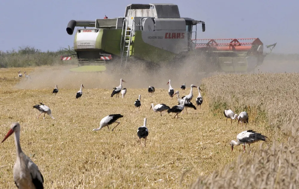 The Day in Photos – July 16, 2015