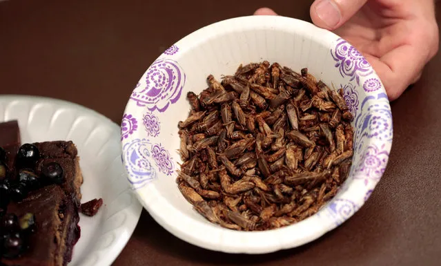 A bowl of edible freeze-dried crickets is displayed during the “Eating Insects Detroit: Exploring the Culture of Insects as Food and Feed” conference at Wayne State University in Detroit, Michigan May 26, 2016. (Photo by Rebecca Cook/Reuters)