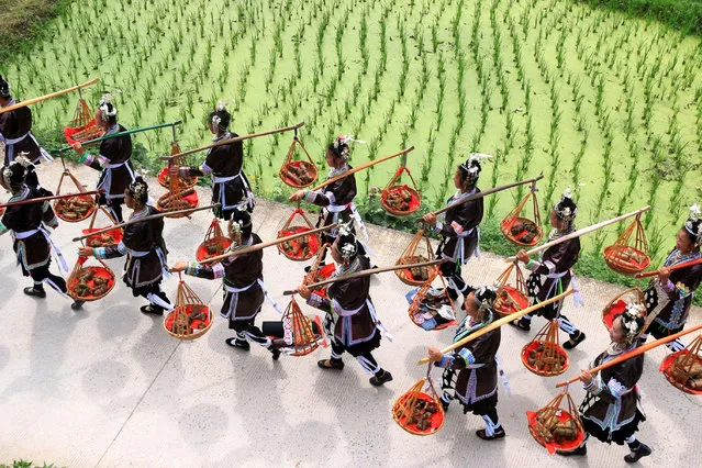 Dong ethnic minority women march along a field as they carry packages of “zongzi”, or rice dumpling, during a local festival in a village at Liping County, Guizhou Province, China June 17, 2017. (Photo by Reuters/Stringer)