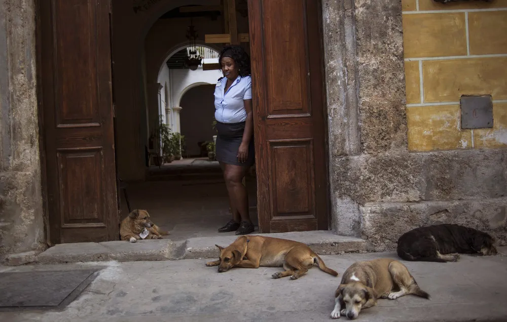 A Look at Life in Cuba. Part 2/2