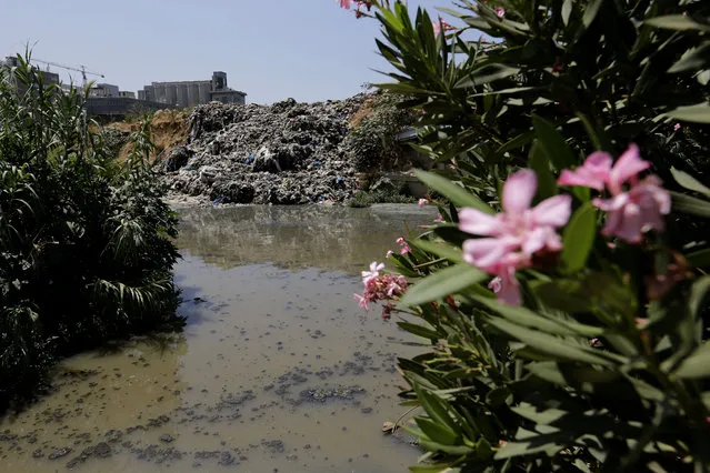 A pile of garbage lies on the bank of the Beirut River as polluted water flows past and into the Mediterranean Sea, in Karantina, east Beirut, Lebanon, Monday, August 17, 2015. Health Minister Wael Abu Faour said Monday, August 17, 2015 that the country is on the brink of a “major health disaster” unless an immediate solution is found for the country's trash. (Photo by Hassan Ammar/AP Photo)