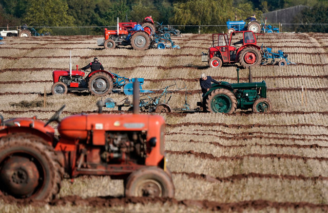 Competitors take part in a vintage tractor final during the 72nd British National Ploughing Championships & Country Festival at Bishop's Lydeard, near Taunton, Somerset on Sunday, October 15, 2023. Over 250 top ploughmen and women from all over Great Britain will compete in the championships. (Photo by Andrew Matthews/PA Images via Getty Images)