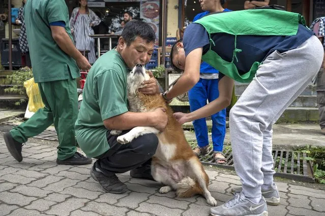 Volunteers from Tibet Charity, an NGO, hold a street dog to vaccinate it against rabies in Dharamshala, India, Thursday, September 29, 2022. (Photo by Ashwini Bhatia/AP Photo)