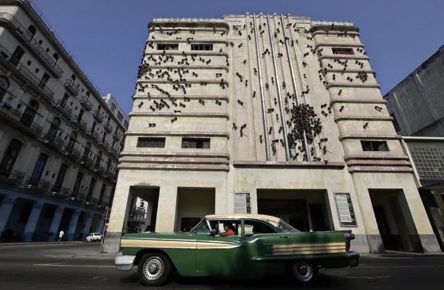 Giant ants appear to crawl up and down the facade of the Fausto Theater, in a sculpture created by Colombian artist Rafael Gomez Barros, during an exhibition for the Havana Biennal in Cuba May 11, 2012. (Photo by Enrique De La Osa/Reuters)