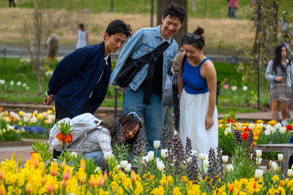 USA last Week, Part 3/3