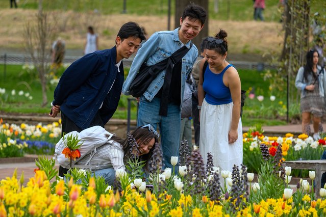 People enjoy the tulips and other flowers at Longwood Gardens in Kennett Square, Pennsylvania, on April 19, 2025, during the Easter holiday Spring Blossoms event. (Photo by Jim Watson/AFP Photo)