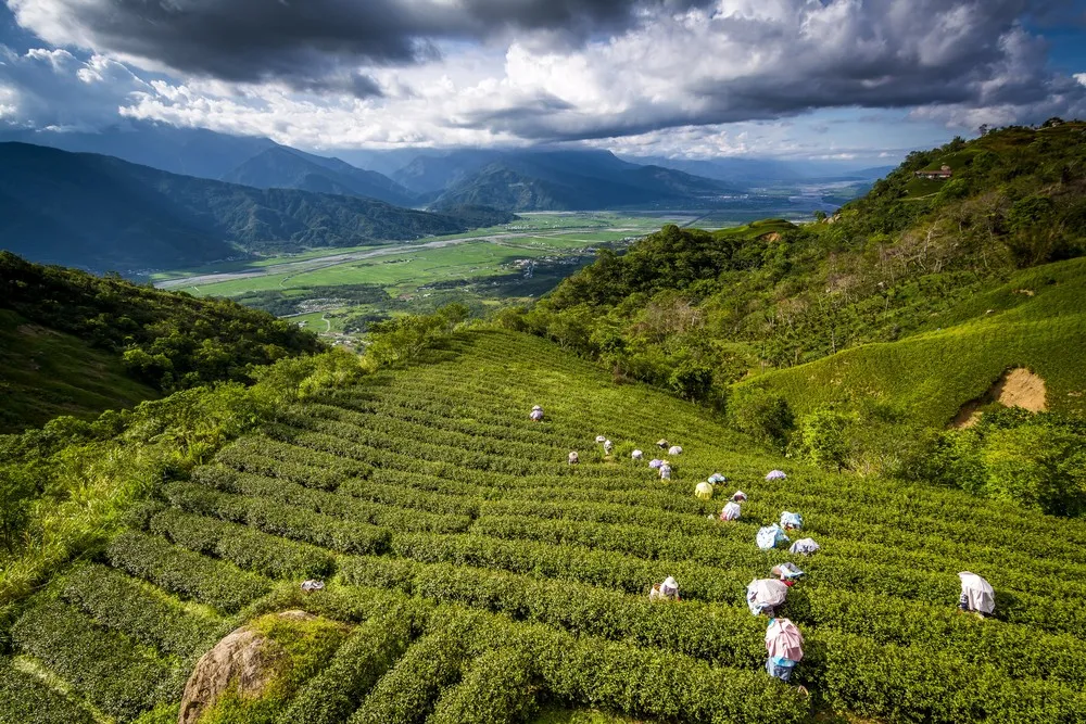 2014 National Geographic Photo Contest, Week 9. Part 2/4