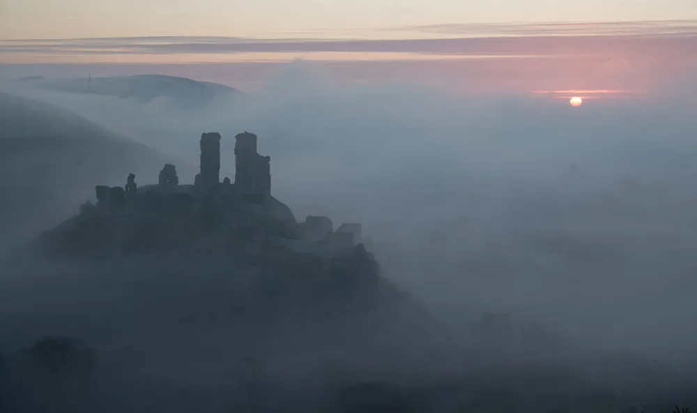 Some Photos: Foggy Day