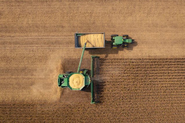 Soybeans are loaded into a grain cart from a combine harvester at a farm outside St. Peter, Minnesota, on Tuesday, September 30, 2025. President Trump said he would confront Chinese President Xi Jinping over China’s refusal to purchase American soybeans, a growing area of tension between the world's two largest economies. (Photo by Ben Brewer/Bloomberg/Getty Images)