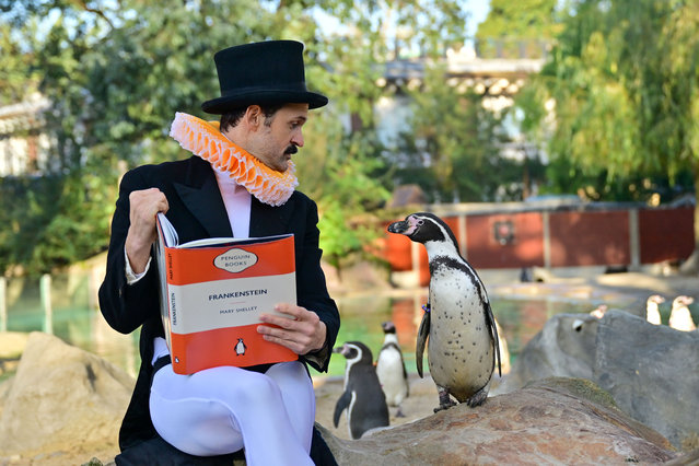 Comedian Garry Starr hosts the world's first penguin book club at London Zoo on November 26, 2025. He is joined by Humboldt Penguins Kermit, Marley, Lorde and friends for a reading of Mary Shelley's Frankenstein. His show “Garry Starr: Classic Penguins” is currently running at the Arts Theatre and will transfer to the Garrick Theatre February 1st 2026. (Photo by James Veysey/Rex Features/Shutterstock)