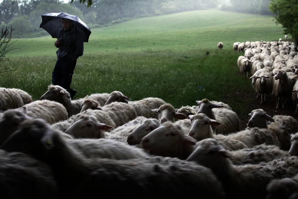 Rural Daily Life in Radicondoli by Photographer Marco Sgarbi