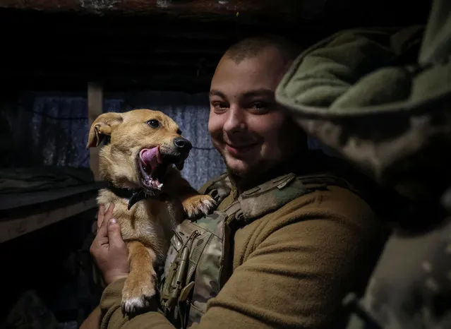 A Ukrainian service member from a 3rd separate assault brigade of the Armed Forces of Ukraine, poses for a picture with a dog in a shelter at a front line, amid Russia's attack on Ukraine, near the city of Bakhmut, Ukraine on April 23, 2023. (Photo by Sofiia Gatilova/Reuters)