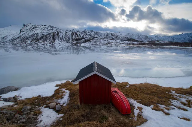 A private fishing cabin is photographed in an inside fjord near Svolvaer, in Lofoten archipelago, Arctic Circle, on March 12, 2016. (Photo by Olivier Morin/AFP Photo)