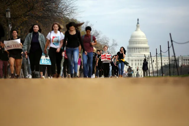 Students march along the National Mall during a protest against President-elect Donald Trump in Washington, U.S., November 15, 2016. (Photo by Carlos Barria/Reuters)