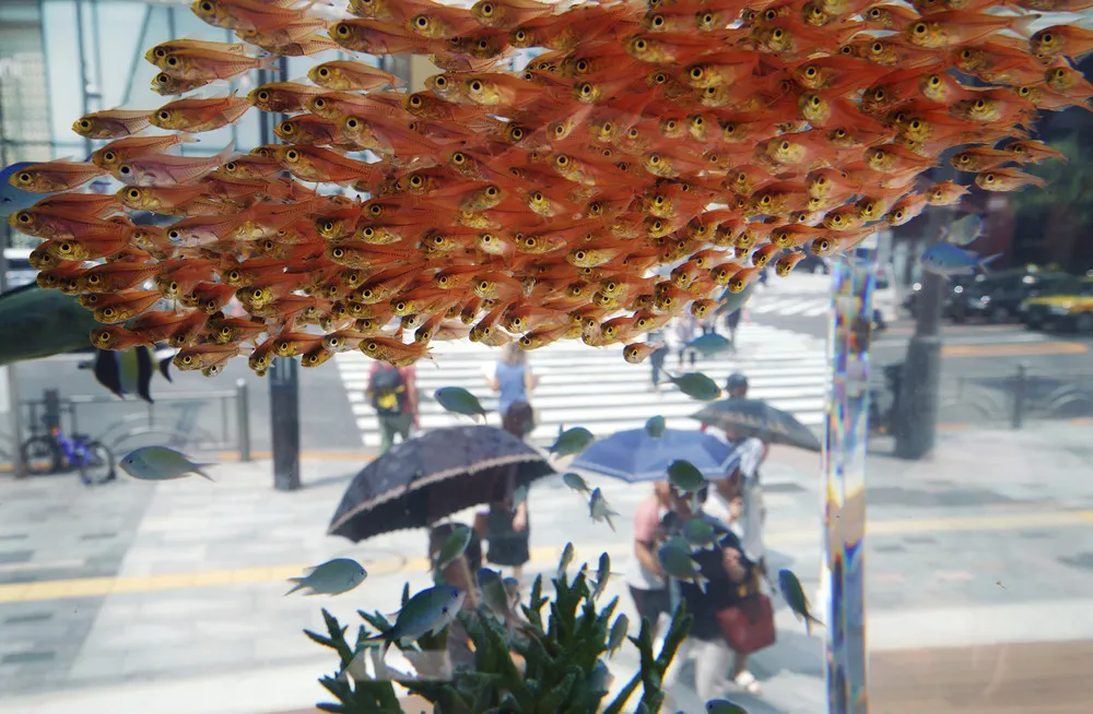 The Day in Photos – August 29, 2018