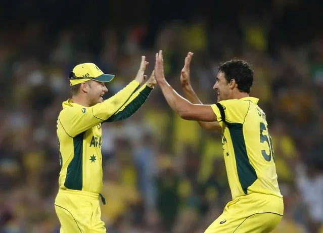 Australia's captain Michael Clarke (L) is congratulated by team mate Mitchell Starc for running out Sri Lanka's Mahela Jayawardene during their Cricket World Cup match in Sydney, March 8, 2015.    REUTERS/Jason Reed (AUSTRALIA - Tags: SPORT CRICKET)