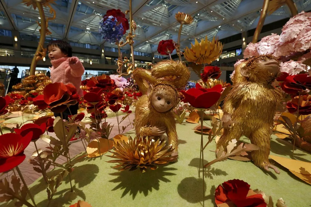 The Day in Photos – January 28, 2016