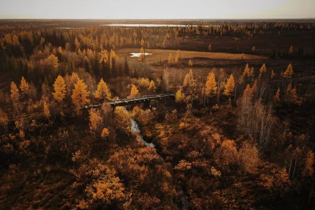 Remains of a railway, known as Stalin's Dead Road, in the Russian taiga between Salekhard and Nadym, September 23, 2018. (Photo by Amos Chapple/Radio Free Europe/Radio Liberty)