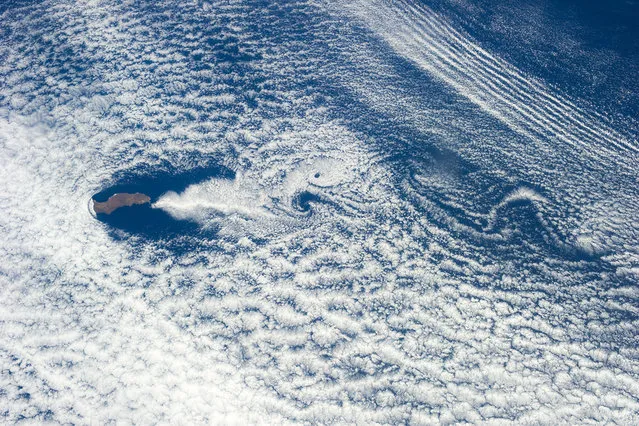 Guadalupe Island. (Photo by NASA)