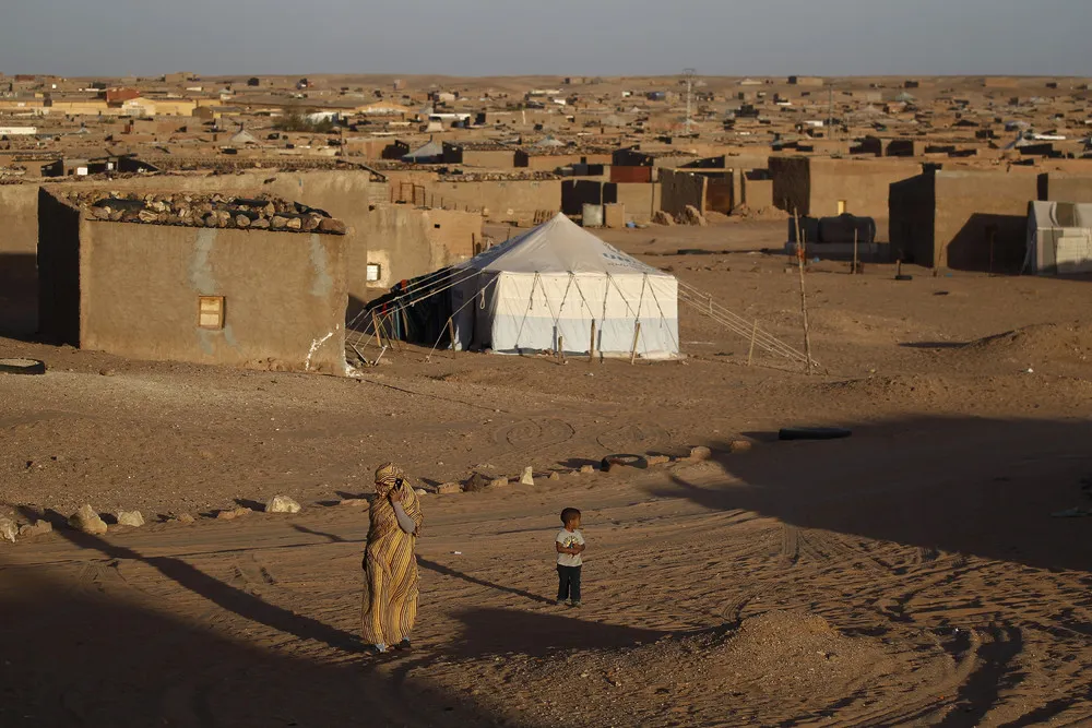Sahrawi Refugees