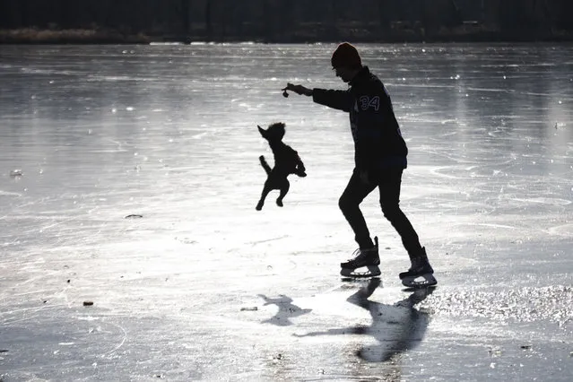 A man with ice skating shoes plays with his dog on the frozen Old Danube River in Vienna, Austria, on January 14, 2024. The low temperatures of the last few days have formed a blanket of ice, but the city administration warns against stepping on the ice. (Photo by Alex Halada/AFP Photo)