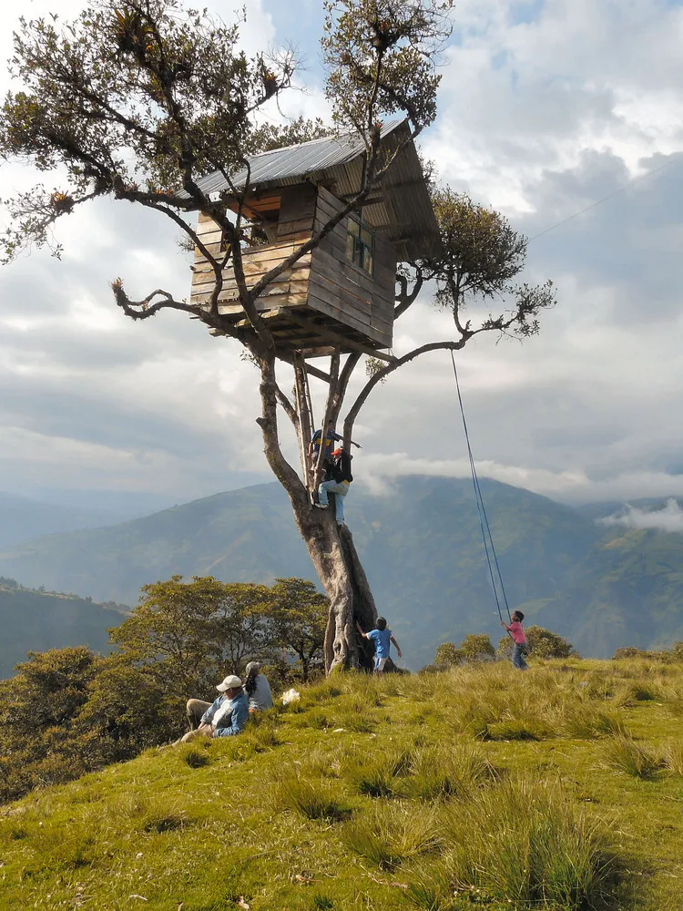The Crazy Swing At Casa Del Arbol in Ecuador