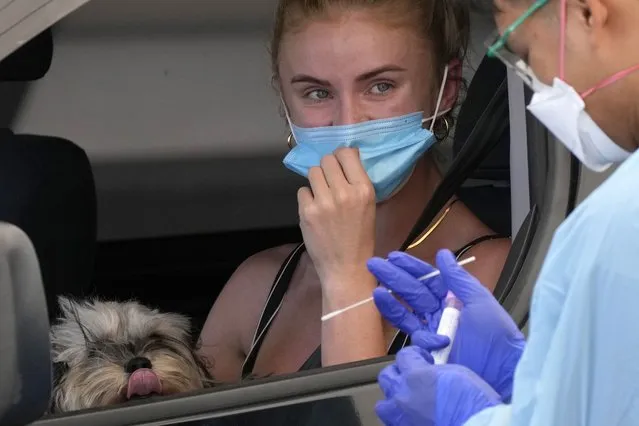 A dog keeps an eye on the presses as a woman has a swab taken at a drive-through COVID-19 testing clinic at Bondi Beach in Sydney, Tuesday, December 21, 2021. New South Wales state reported a record new coronavirus cases and two deaths over the past 24 hours. (Photo by Rick Rycroft/AP Photo)