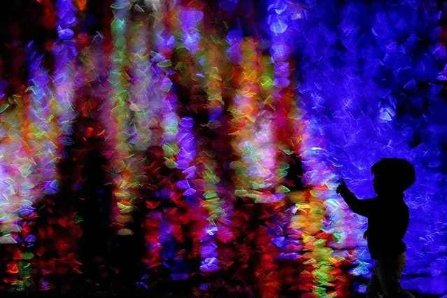 A boy is silhouetted against Christmas lights reflected on a pond as he walks through a park Thursday, Dec. 9, 2021, in Lenexa, Kan. (Photo by Charlie Riedel/AP Photo)