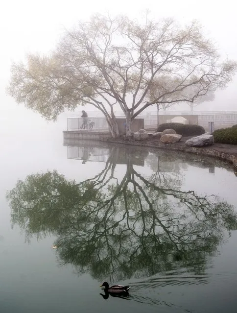 A man fishes during a foggy morning at North Lake in Irvine, Calif., on Tuesday, November 30, 2021. Dense fog covered much of Orange County. (Photo by Paul Bersebach/The Orange County Register via AP Photo)