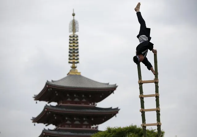 Men wearing costume of traditional firefighters perform  acrobatic stunts atop a bamboo ladder following a memorial service for firefighters at Sensoji temple in Tokyo's downtown of Asakusa May 25, 2015. (Photo by Issei Kato/Reuters)