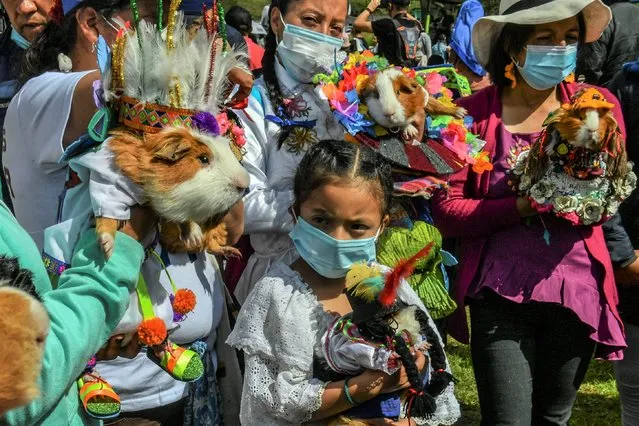Women hold disguised cuys or guinea pigs (Cavia Porcellus), a popular source of meat in southern Colombia, at the Cuy Festival in La Laguna municipality, Nariño department, Colombia, on January 7, 2022. (Photo by Joaquin Sarmiento/AFP Photo)