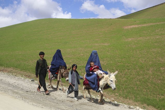 Afghan burqa-clad women ride donkeys alongside children on a road near Shah Mari village in Argo district, Badakhshan province, on May 1, 2024. (Photo by Omer Abrar/AFP Photo)