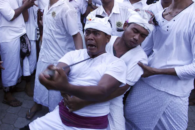 A Balinese man is placed into a trance like state with keris, traditional weapon, pointed to his neck during a hindu ritual called Ngerebong which is an ancient tradition of kesiman village, the ceremony is held every 210 days where the villagers are believed will be given safety away from disasters in Bali, Indonesia on Sunday, April 23, 2017. (Photo by Firdia Lisnawati/AP Photo)