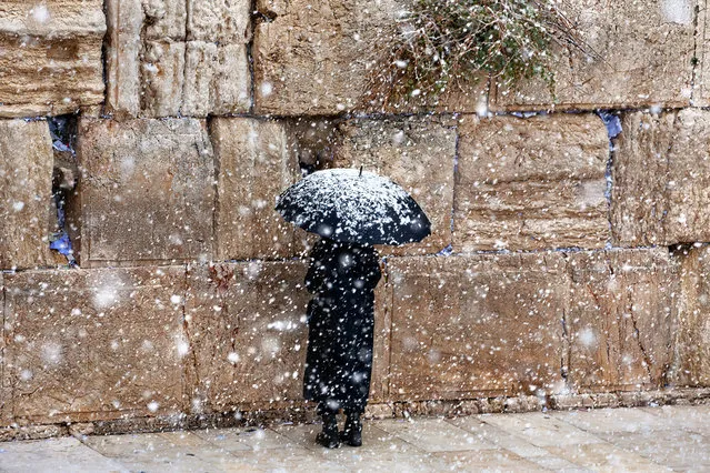 “Faith”. A dedicated man praying all alone under a heavy snowfall, at the usually crowded Western Wall in Jerusalem. The Western Wall, the only remnant of the Holy Temple of Jerusalem (destroyed in 70 CE), is the holiest site for the Jewish people. It is visited by huge crowds of worshipers and tourists almost every day. Photo location: Jerusalem, Israel. (Photo and caption by Noam Chen/National Geographic Photo Contest)