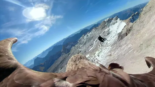 In this image made from video provided by Eagle Wings Foundation/Chopard, aerial footage shot by a camera attached to an eagle of a glacier in Western Europe. A white-tailed eagle is filming as he flies over the Alps and its once-magnificent glaciers, which are now crumbling because of global warming. The eagle named Victor will embark upon a series of flights in the first week on October 2019, filming as he soars over the Alps. Organizers hope that his spectacular eagle’s-view footage will help jolt the world out of its climate-change apathy and toward swifter action to combat its effects. (Photo by Eagle Wings Foundation/Chopard via AP Photo)