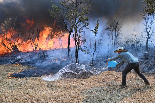 A resident near Brasilia National Park drops a bucket of water on the fire to contain the forest fire that is raging in the park so that it doesn't reach their homes in Brasilia, Brazil, on September 15, 2024. In the midst of the worst drought since records have been kept, Brazil continues to battle thousands of fires on September 13, with smoke affecting some of its major cities, such as Sao Paulo and Rio de Janeiro, and neighboring countries. (Photo by Evaristo Sa/AFP Photo)