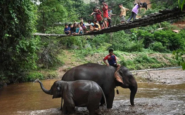 This photo taken on June 4, 2020 shows children watching a mother and young elephant bathing in Baan Na Klang village in the northern Thai province of Chiang Mai, where over 100 elephants returned from various tourist camps since the outbreak of the COVID-19 coronavirus. As the coronavirus pandemic paralysed global travel, Thailand's some 3,000 domesticated elephants working in amusement parks or “sanctuaries” have been unemployed since the closure of camps in mid-March. With their incomes vanished and risk of starvation growing, more than 1,000 elephants and their mahouts have returned to their villages in the past two months. (Photo by Lillian Suwanrumpha/AFP Photo)