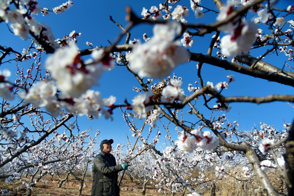 A Look at Life in China